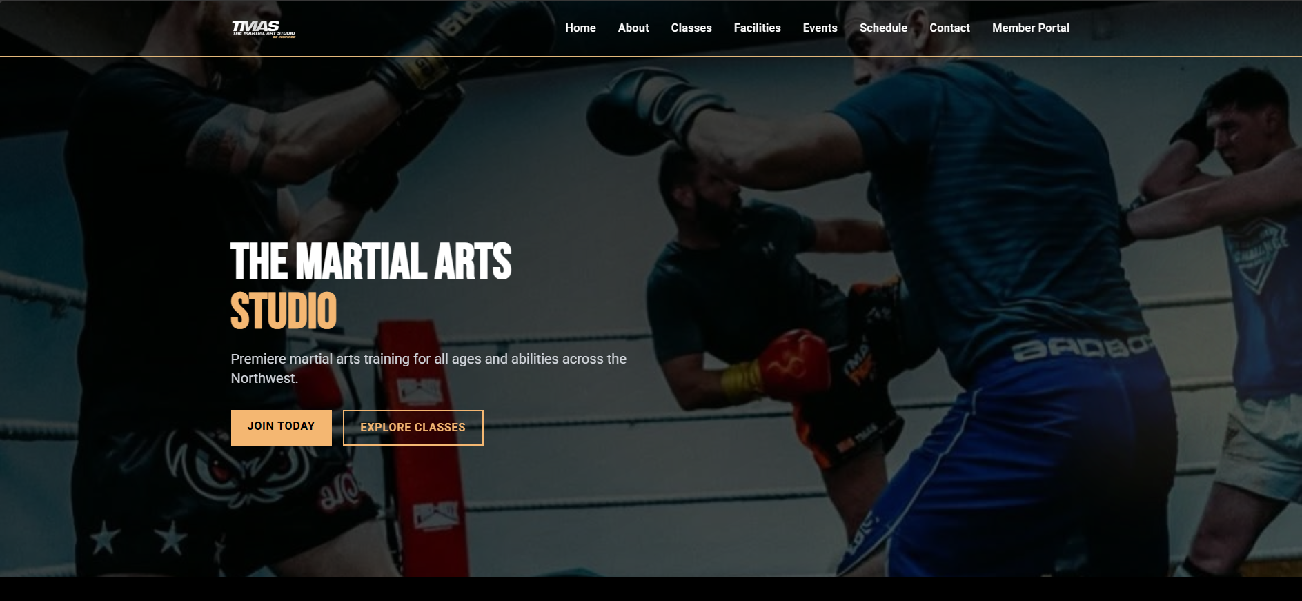 The Martial Arts Studio (TMAS) - Martial Arts Academy website preview